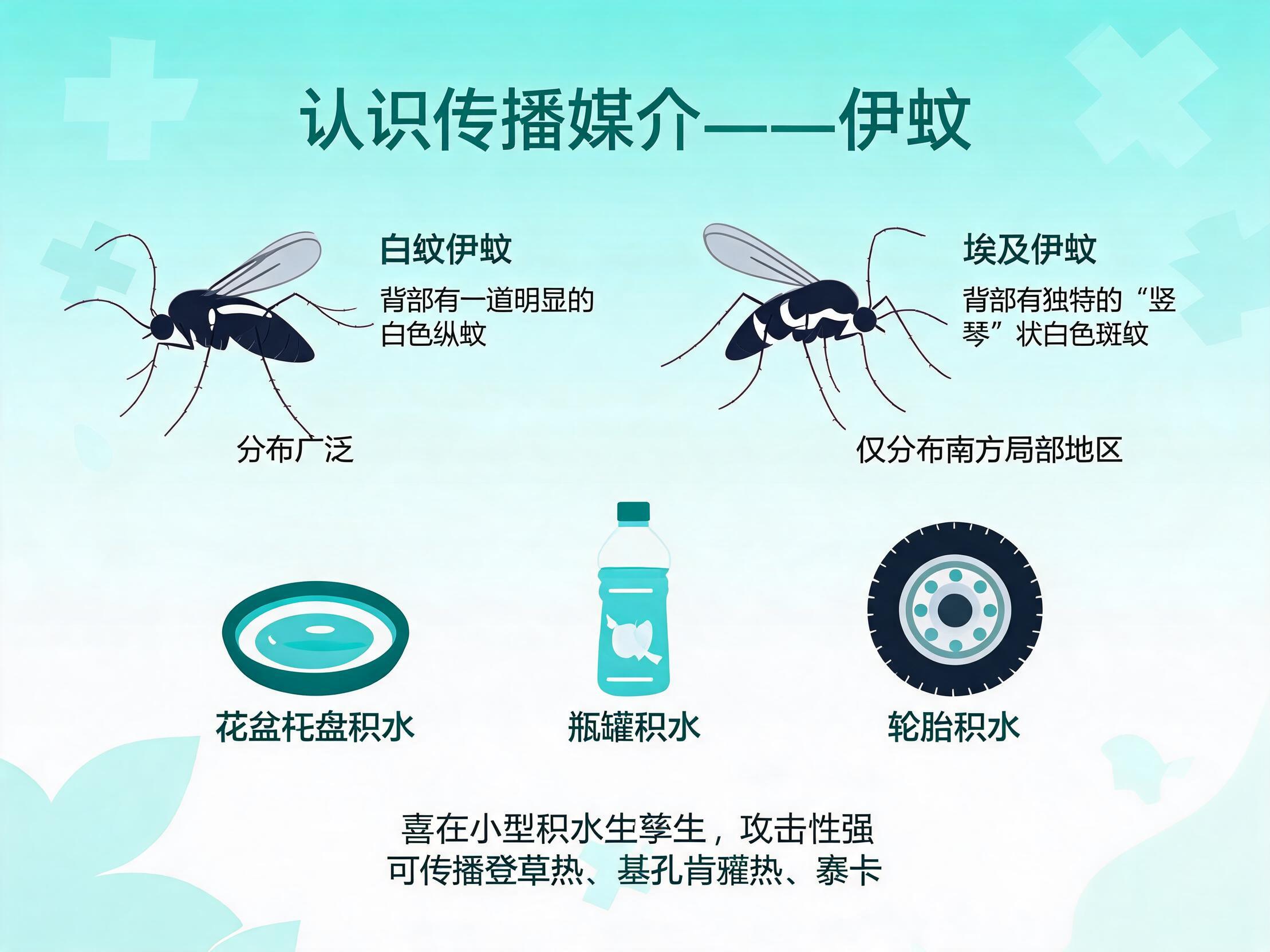 ���������밣��������̬�Ա�